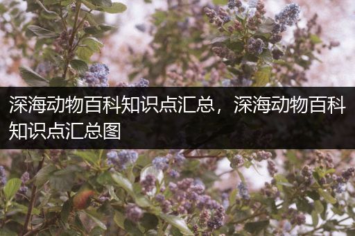 深海动物百科知识点汇总，深海动物百科知识点汇总图