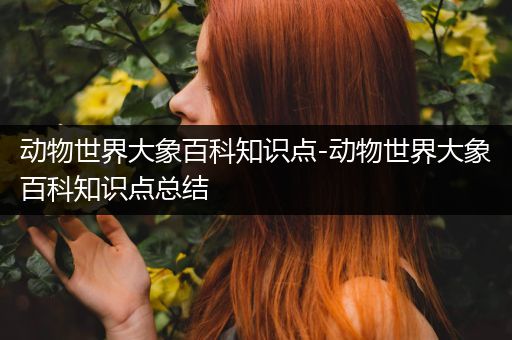 动物世界大象百科知识点-动物世界大象百科知识点总结