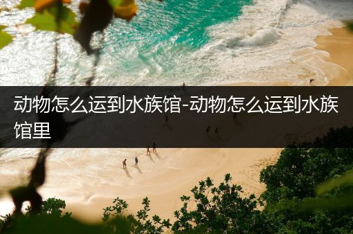 动物怎么运到水族馆-动物怎么运到水族馆里