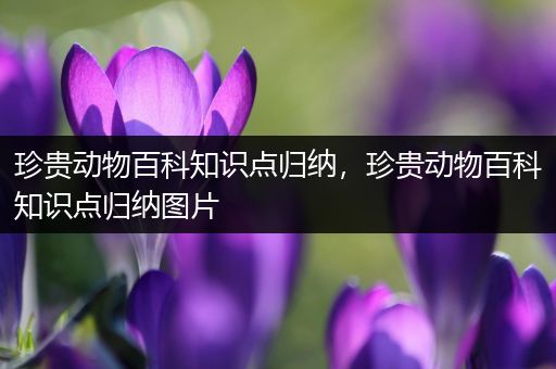 珍贵动物百科知识点归纳，珍贵动物百科知识点归纳图片