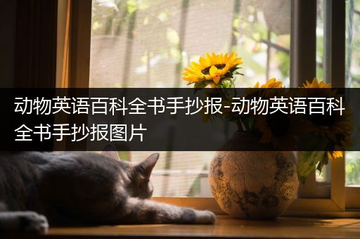 动物英语百科全书手抄报-动物英语百科全书手抄报图片