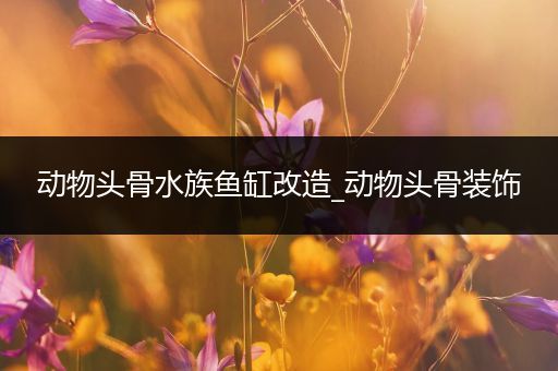 动物头骨水族鱼缸改造_动物头骨装饰
