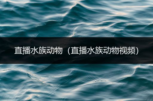 直播水族动物（直播水族动物视频）