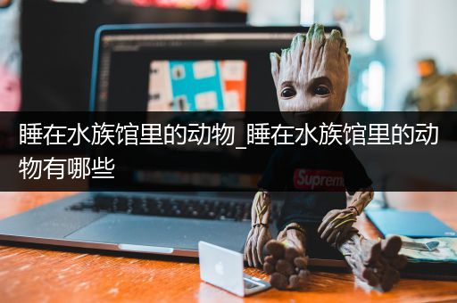 睡在水族馆里的动物_睡在水族馆里的动物有哪些