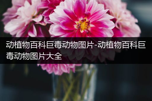 动植物百科巨毒动物图片-动植物百科巨毒动物图片大全
