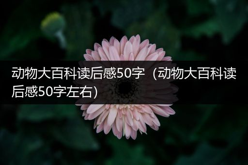 动物大百科读后感50字（动物大百科读后感50字左右）