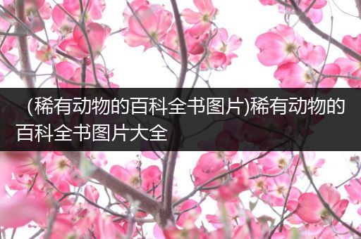 （稀有动物的百科全书图片)稀有动物的百科全书图片大全