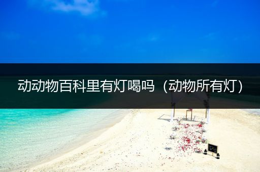 动动物百科里有灯喝吗（动物所有灯）