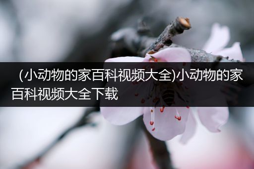 （小动物的家百科视频大全)小动物的家百科视频大全下载