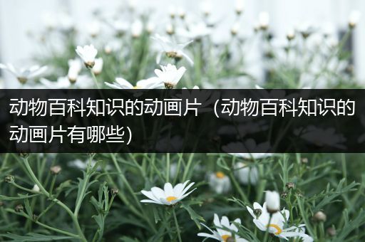 动物百科知识的动画片（动物百科知识的动画片有哪些）