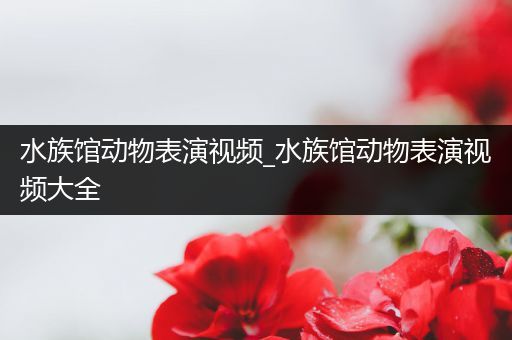 水族馆动物表演视频_水族馆动物表演视频大全