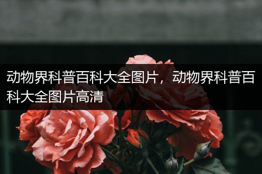 动物界科普百科大全图片，动物界科普百科大全图片高清
