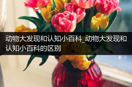 动物大发现和认知小百科_动物大发现和认知小百科的区别