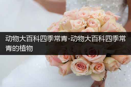 动物大百科四季常青-动物大百科四季常青的植物