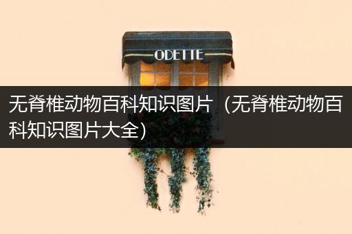 无脊椎动物百科知识图片（无脊椎动物百科知识图片大全）