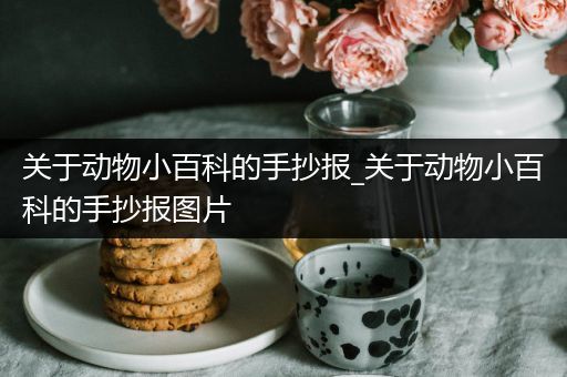 关于动物小百科的手抄报_关于动物小百科的手抄报图片