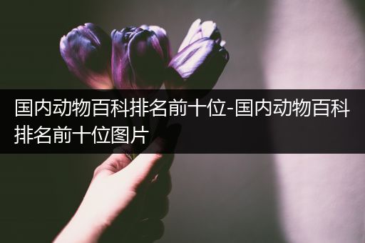 国内动物百科排名前十位-国内动物百科排名前十位图片