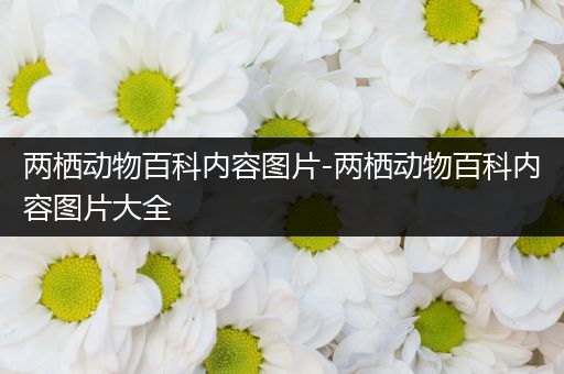 两栖动物百科内容图片-两栖动物百科内容图片大全