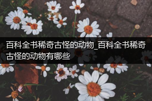 百科全书稀奇古怪的动物_百科全书稀奇古怪的动物有哪些