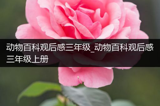 动物百科观后感三年级_动物百科观后感三年级上册