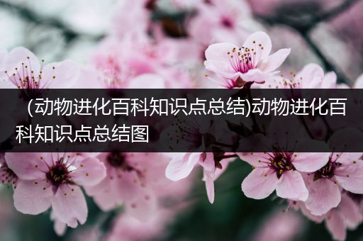 （动物进化百科知识点总结)动物进化百科知识点总结图