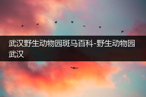 武汉野生动物园斑马百科-野生动物园 武汉