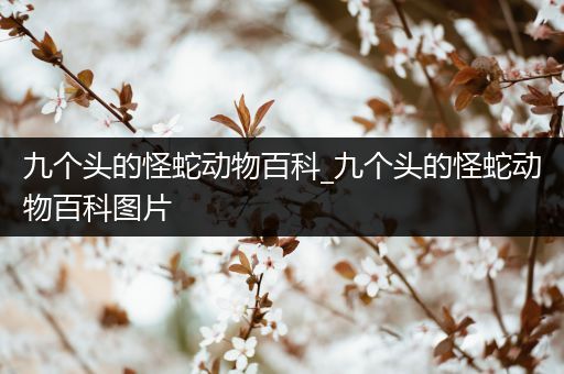 九个头的怪蛇动物百科_九个头的怪蛇动物百科图片