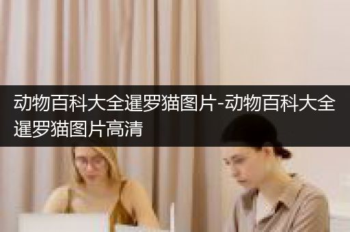 动物百科大全暹罗猫图片-动物百科大全暹罗猫图片高清