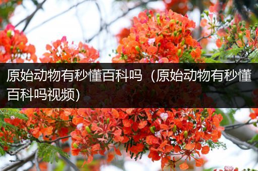 原始动物有秒懂百科吗（原始动物有秒懂百科吗视频）
