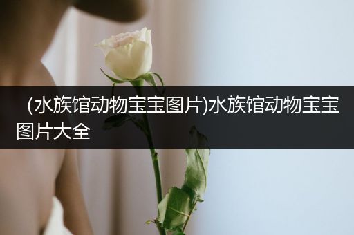 （水族馆动物宝宝图片)水族馆动物宝宝图片大全