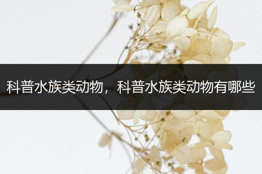 科普水族类动物，科普水族类动物有哪些