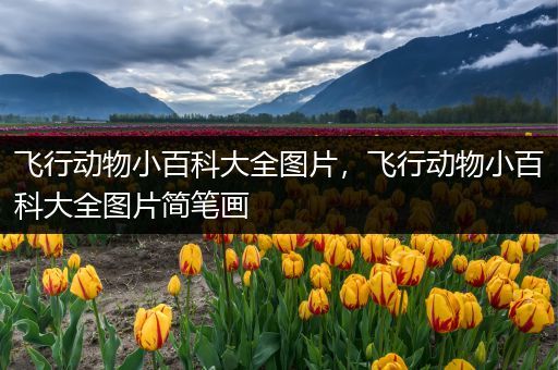 飞行动物小百科大全图片，飞行动物小百科大全图片简笔画