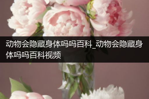 动物会隐藏身体吗吗百科_动物会隐藏身体吗吗百科视频