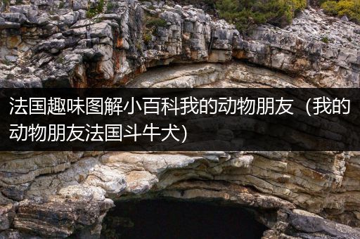 法国趣味图解小百科我的动物朋友（我的动物朋友法国斗牛犬）