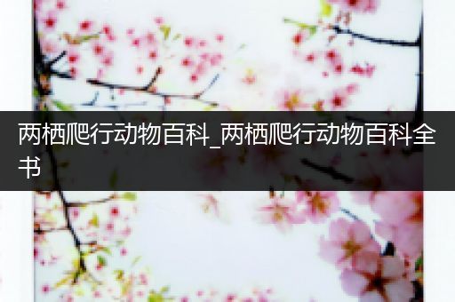 两栖爬行动物百科_两栖爬行动物百科全书