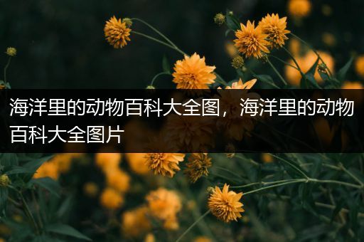 海洋里的动物百科大全图，海洋里的动物百科大全图片