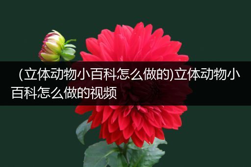 （立体动物小百科怎么做的)立体动物小百科怎么做的视频