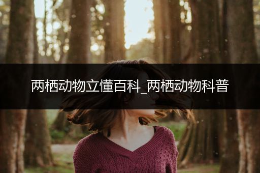 两栖动物立懂百科_两栖动物科普