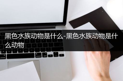 黑色水族动物是什么-黑色水族动物是什么动物