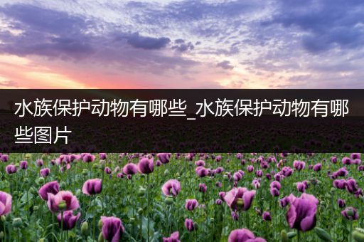 水族保护动物有哪些_水族保护动物有哪些图片