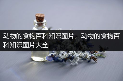动物的食物百科知识图片，动物的食物百科知识图片大全