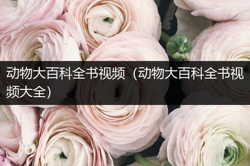 动物大百科全书视频（动物大百科全书视频大全）