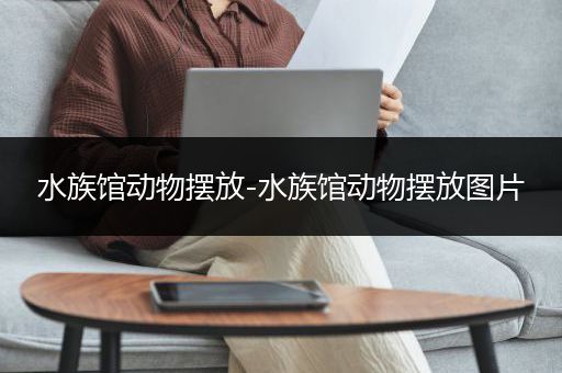 水族馆动物摆放-水族馆动物摆放图片