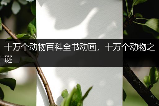 十万个动物百科全书动画，十万个动物之谜