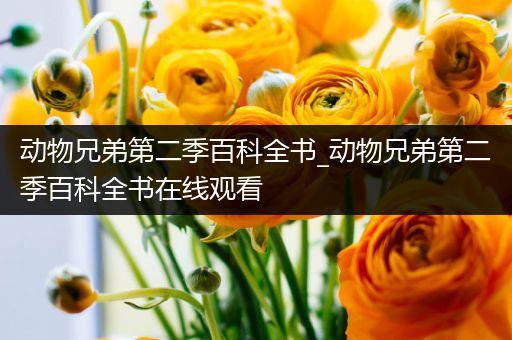 动物兄弟第二季百科全书_动物兄弟第二季百科全书在线观看