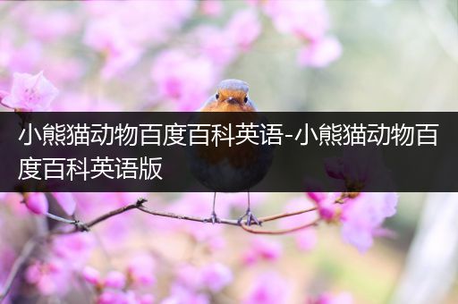 小熊猫动物百度百科英语-小熊猫动物百度百科英语版