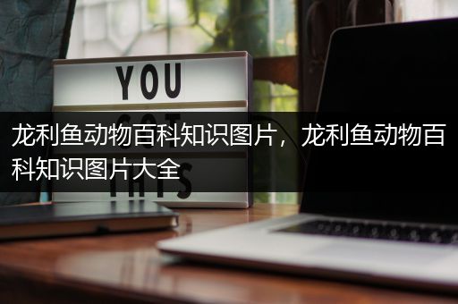 龙利鱼动物百科知识图片，龙利鱼动物百科知识图片大全