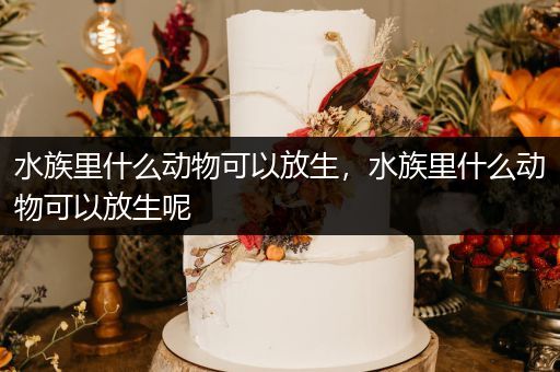 水族里什么动物可以放生，水族里什么动物可以放生呢