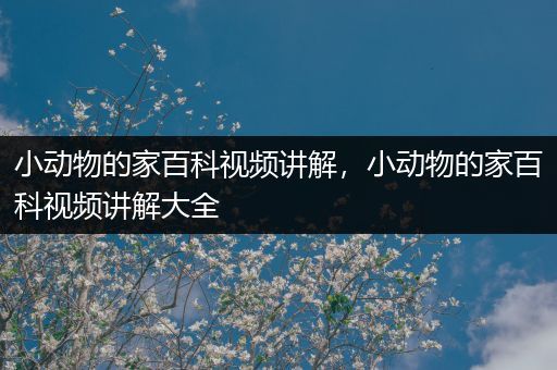 小动物的家百科视频讲解，小动物的家百科视频讲解大全