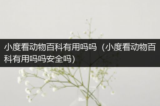 小度看动物百科有用吗吗（小度看动物百科有用吗吗安全吗）